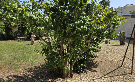 Maison Type 3 - 65,25m² - Nogent Sur Seine