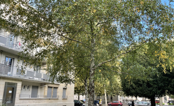 Appartement Type 3 - 51 m² - Troyes